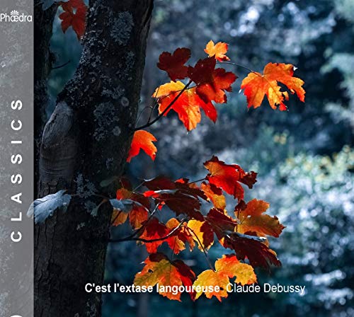 CD cover with a tree trunk and vibrant autumn leaves.