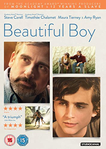 DVD cover for “Beautiful Boy” featuring Steve Carell and Timothée Chalamet.