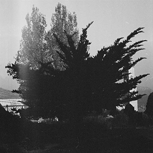 Black and white vinyl record cover with silhouetted trees and building.