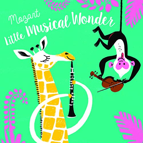 MUSICAL WONDER