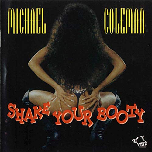 CD cover for “Shake Your Booty” featuring a person with long hair.