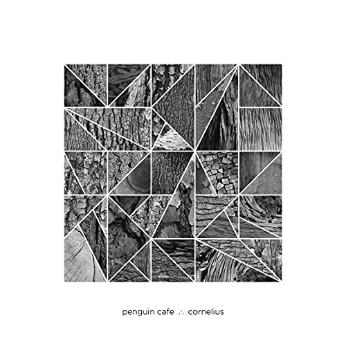 Black and white album cover with geometric woodgrain pattern and text.