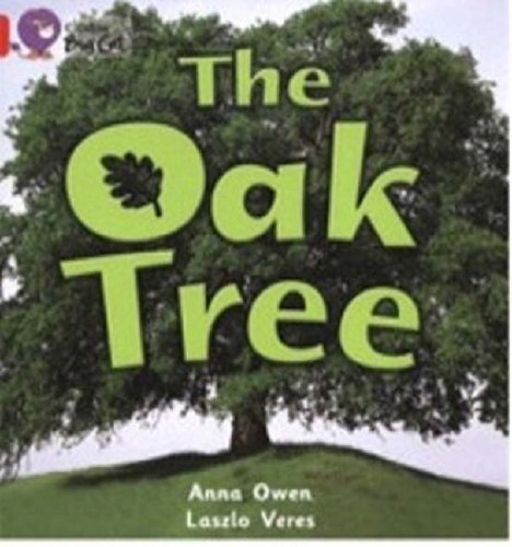 The Oak Tree: A non-fiction photographic picture book about the different parts of an oak tree. (Collins Big Cat): Band 02b/Red B