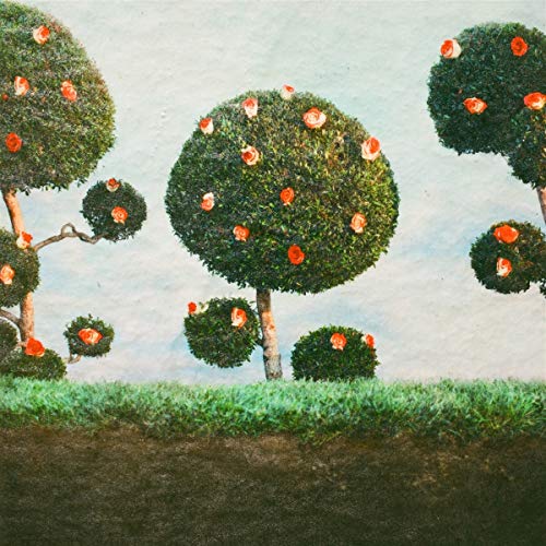 Album cover with sculpted bushes adorned with red roses against a sky.