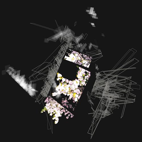 Abstract floral image with white lines on a black background.
