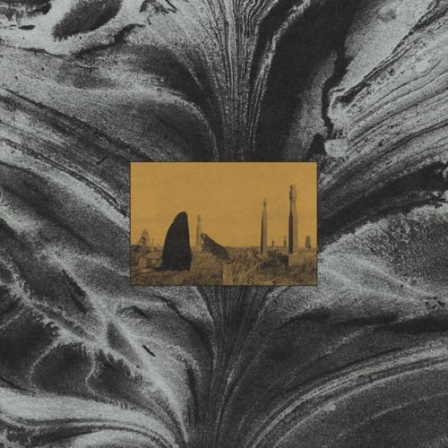 Vinyl record cover with abstract marbled background and desert landscape.