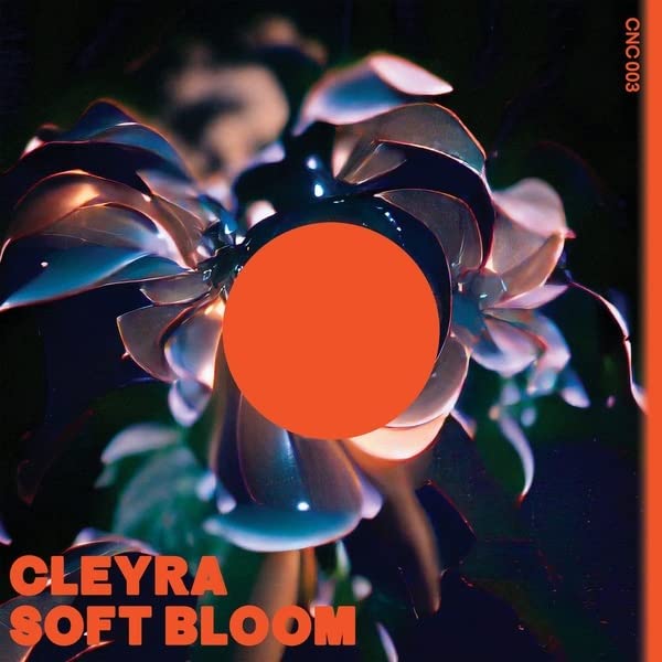 Abstract floral vinyl record cover with orange circle and text.