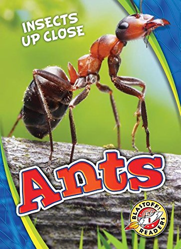 Ants (Insects Up Close)