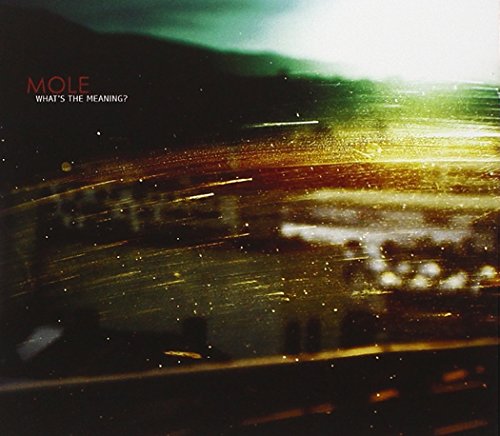CD cover for "Mole - What's The Meaning?" with blurred city lights.