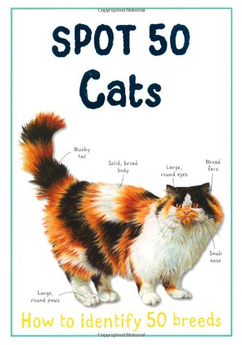 Spot 50 Cats (Large Spot 50 Series)