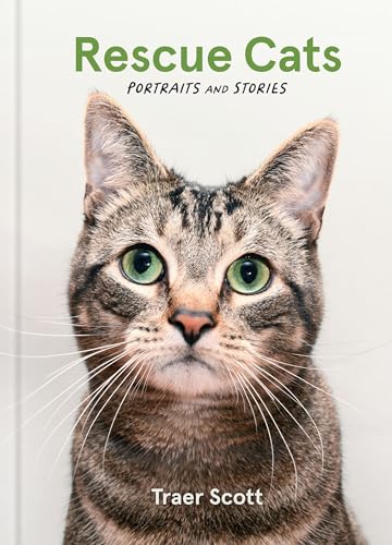 Rescue Cats : Portraits and Stories