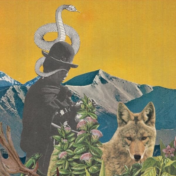 Collage featuring a cowboy hat, snake, mountains, coyote, and foliage.