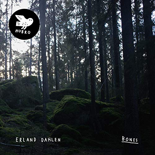 Vinyl record cover: dark forest scene with a white owl logo.