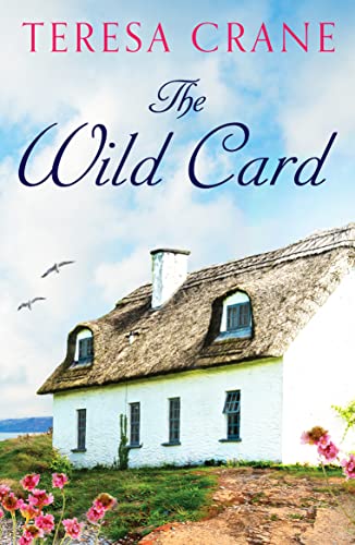 The Wild Card : An unforgettable novel of family drama