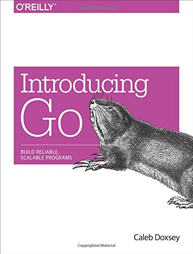 Introduction to Programming in Go: A Developer Resource