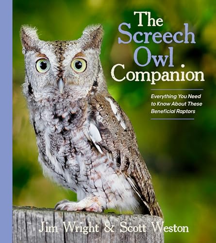 The Screech Owl Companion : Everything You Need to Know about These Beneficial Raptors