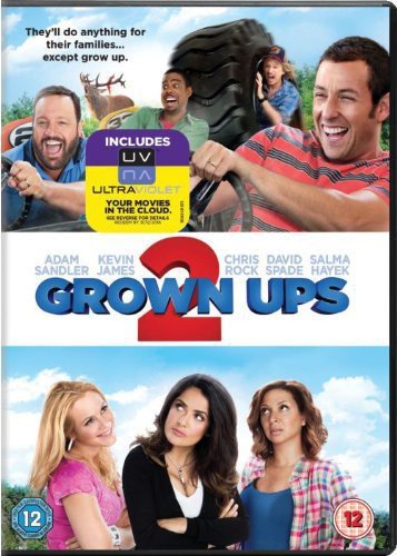 DVD cover for Grown Ups 2 with comedic actors and actresses in casual clothing.