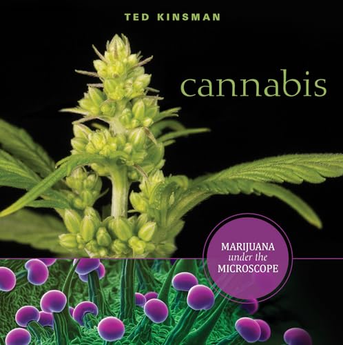 Cannabis