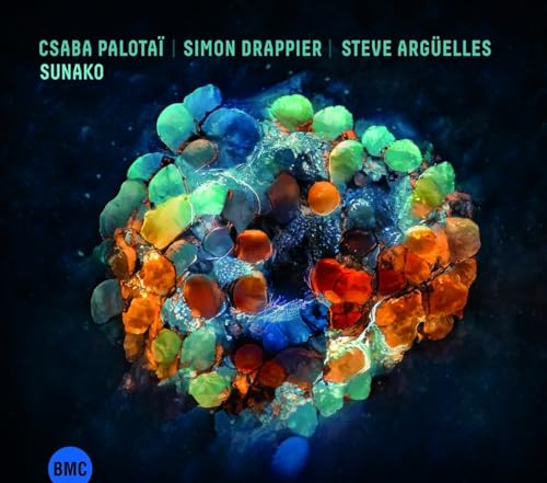 CD cover: abstract colorful cluster against a dark blue background.
