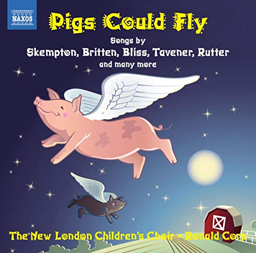 CD cover: flying pink pig with wings, blue starry night background.