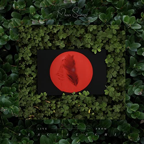 Album cover: red circle with a profile, surrounded by green foliage.