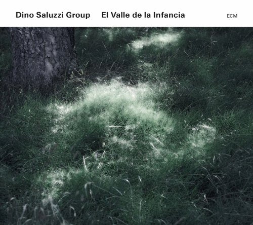 CD cover with a dark, blurry image of a forest floor and tree.