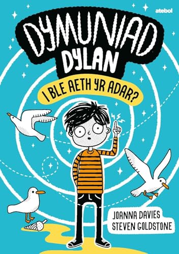 Book cover: boy with birds, concentric circles, Welsh title "Dymuniad Dylan".