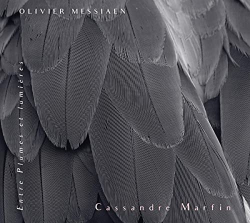 CD cover: close-up of gray bird feathers, text “Cassandre Marfin”.