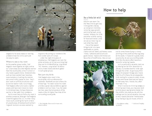 RSPB Birding Year : Seasonal tips and activities to learn about bird behaviour