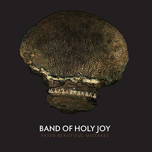 CD cover with a textured, brown mushroom and band name below.