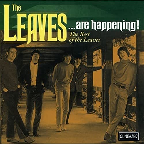 CD cover for The Leaves featuring a band photo in front of a building.