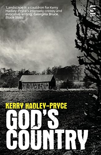 God’s Country (Salt Modern Fiction)