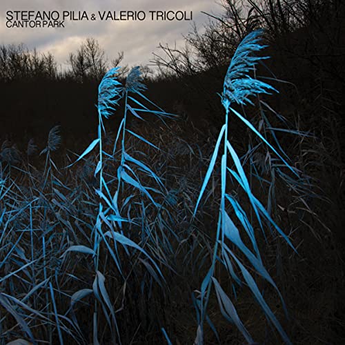 Album cover for Stefano Pilia & Valerio Tricoli’s “Cantor Park,” featuring reeds.