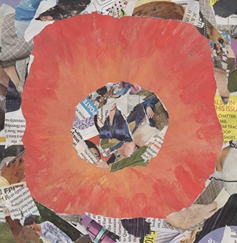 Collage of a red poppy flower with a central image of people.