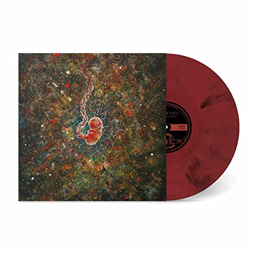 Vinyl record with abstract, colorful cover art featuring a fetal image.