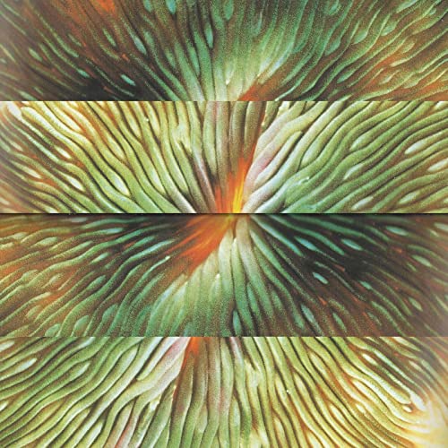 Abstract, symmetrical pattern of green and gold swirling lines.