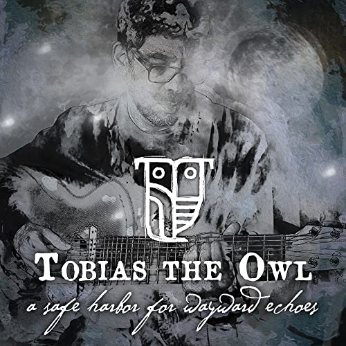 CD cover: man playing guitar with an owl graphic overlay.