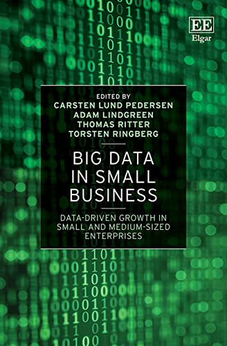 Book cover titled Big Data in Small Business with green binary code background.