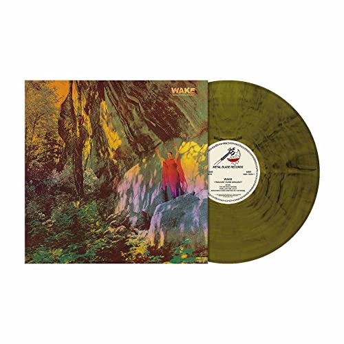 Vinyl record of "Wake - Thought Form Descent" with painted cover art.