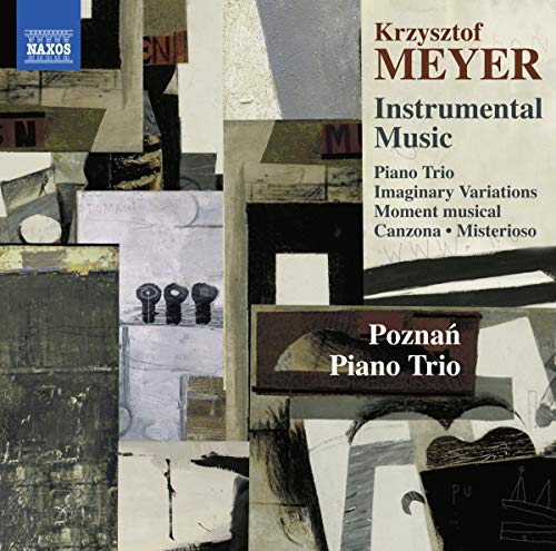 CD cover featuring abstract geometric shapes and text: “Poznan Piano Trio”.