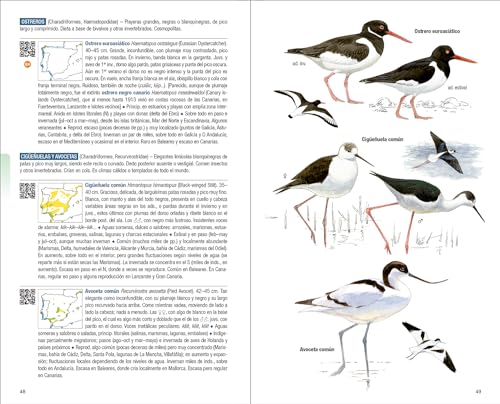 Aves Espana