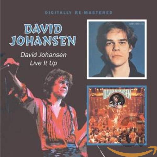 CD cover for David Johansen’s “David Johansen / Live It Up” album.