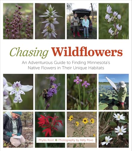 Chasing Wildflowers : An Adventurous Guide to Finding Minnesota's Native Flowers in Their Unique Habitats