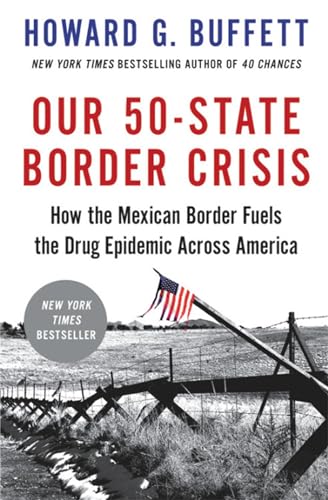Book cover with title, American flag, and border fence imagery.