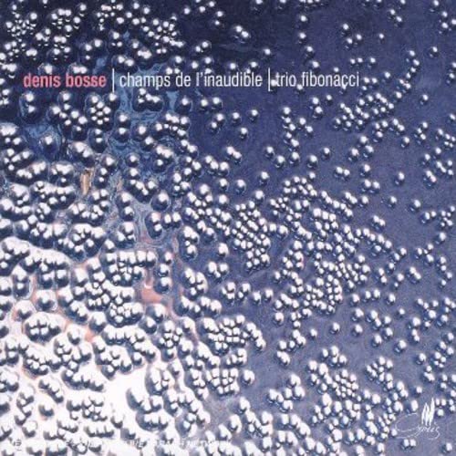CD cover for Denis Bosse’s “Champs De L'Inaudible” with a textured, bubbly pattern.