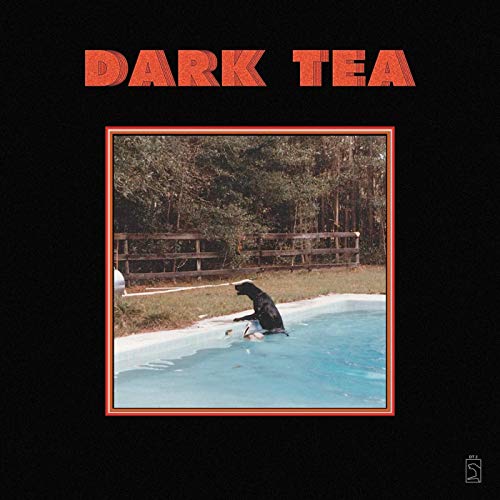 CD cover: black dog swimming in a light blue pool, trees background.