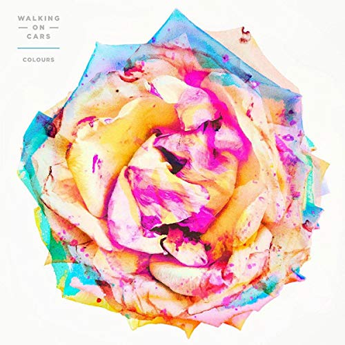 A stylized rose with vibrant pink, yellow, and blue paint splatters on white background.