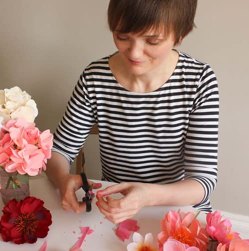 A Petal Unfolds