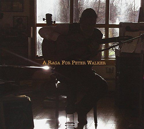 Silhouetted musician playing a sitar in a room with a window.