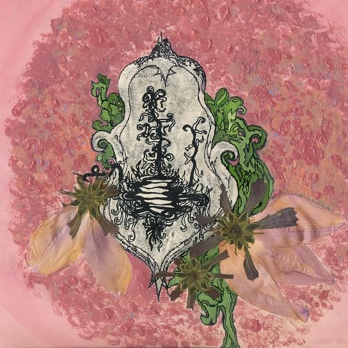 CD cover art: ornate, black and white beetle illustration on pink.